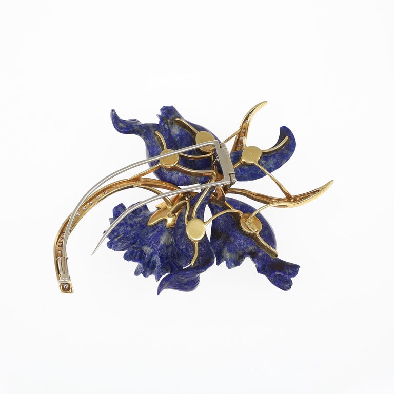 Spilla Iris