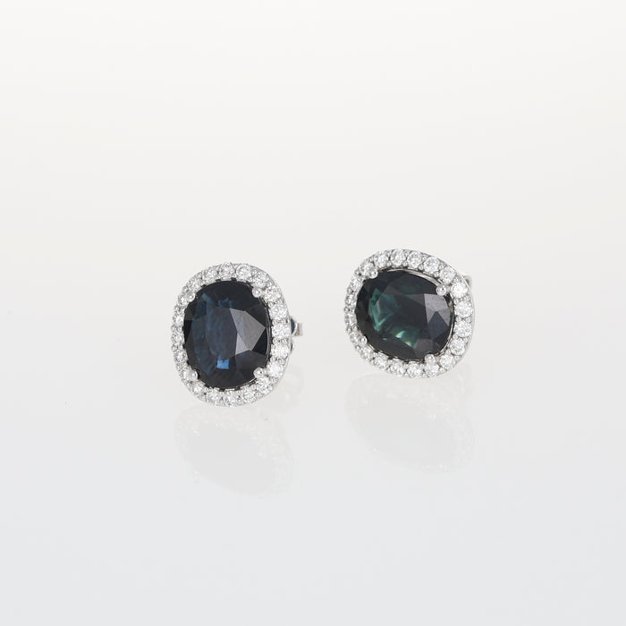 Orecchini a Lobo in Oro Bianco 18kt con Zaffiri Dark Blue e Contorno di Diamanti