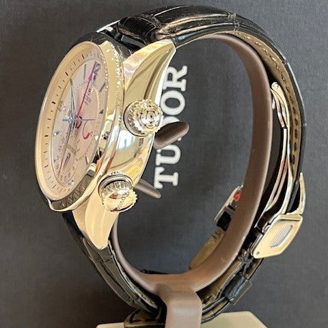 Tudor Advisor 79620T