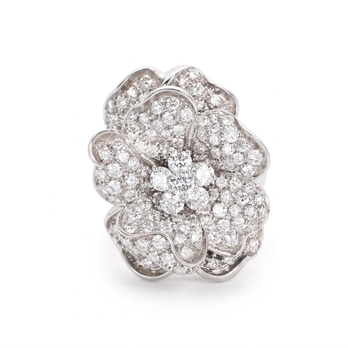 AI · Anello - Catalogo (fondo bianco)
