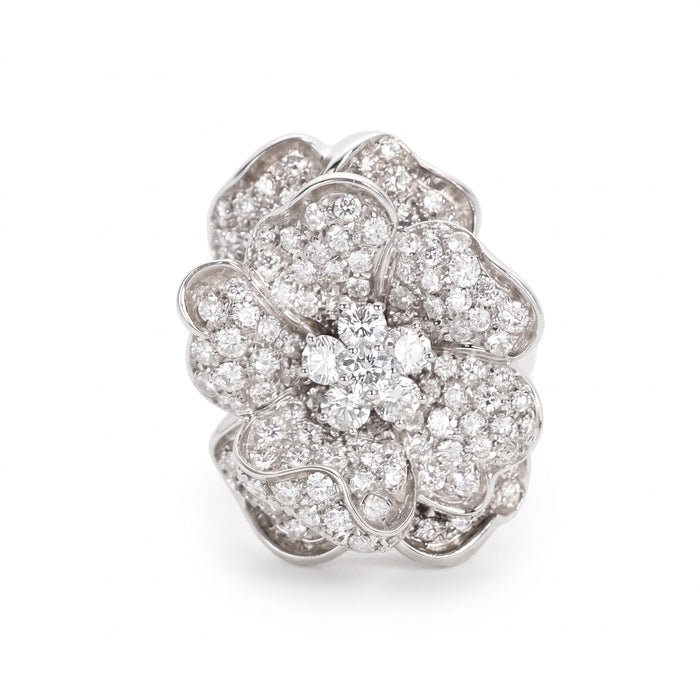 AI · Anello - Catalogo (fondo bianco)