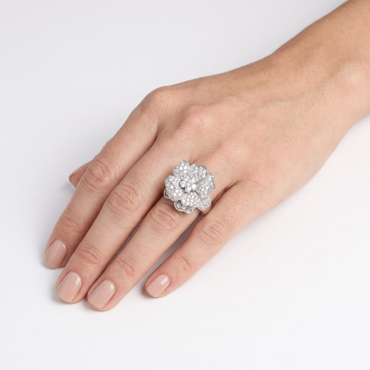 AI · Anello - Indossato da DONNA
