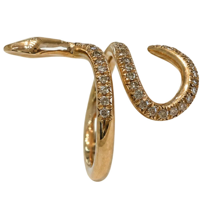Anello Snake