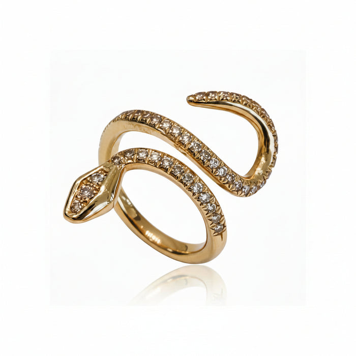 Anello Snake